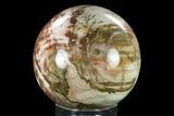 Colorful, Petrified Wood Sphere - Madagascar #135325-1